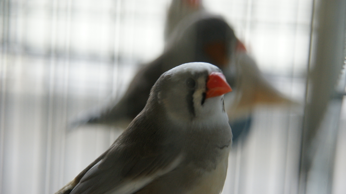f:id:mcqueeni:20200904194312j:plain