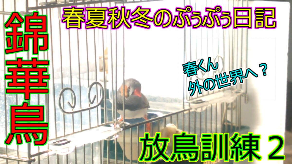f:id:mcqueeni:20210113205049p:plain