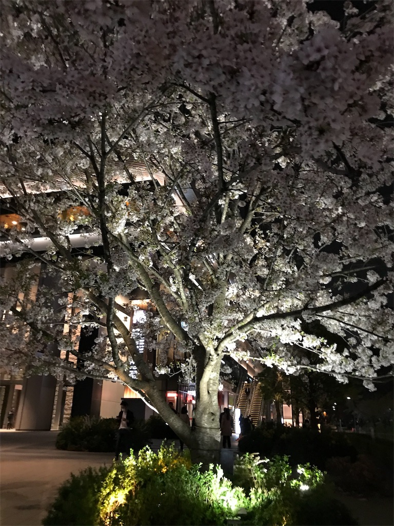 f:id:mct87:20180330063700j:image f:id:mct87:20180330063700j:image