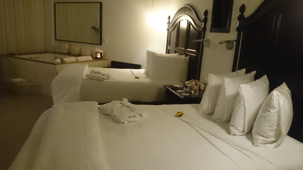 f:id:mcy22:20160529154231j:plain