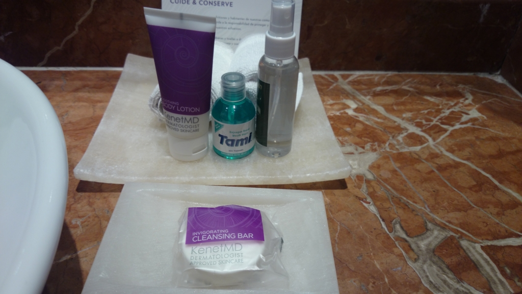 f:id:mcy22:20160529161022j:plain