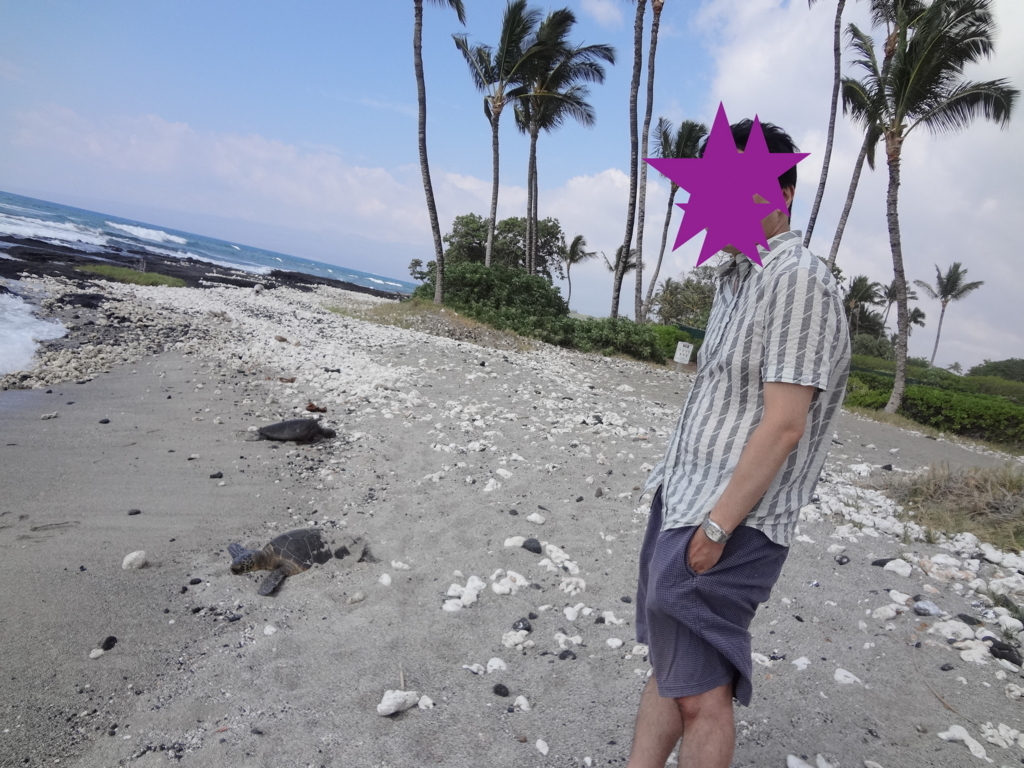 f:id:mcy22:20180818125018j:plain f:id:mcy22:20180818125018j:plain