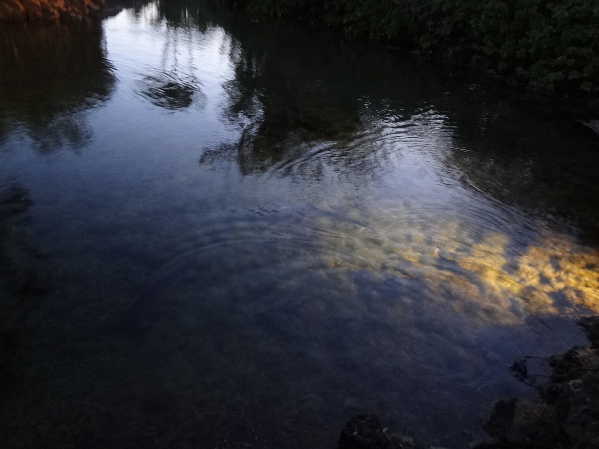 f:id:mcy22:20190522195057j:plain f:id:mcy22:20190522195057j:plain