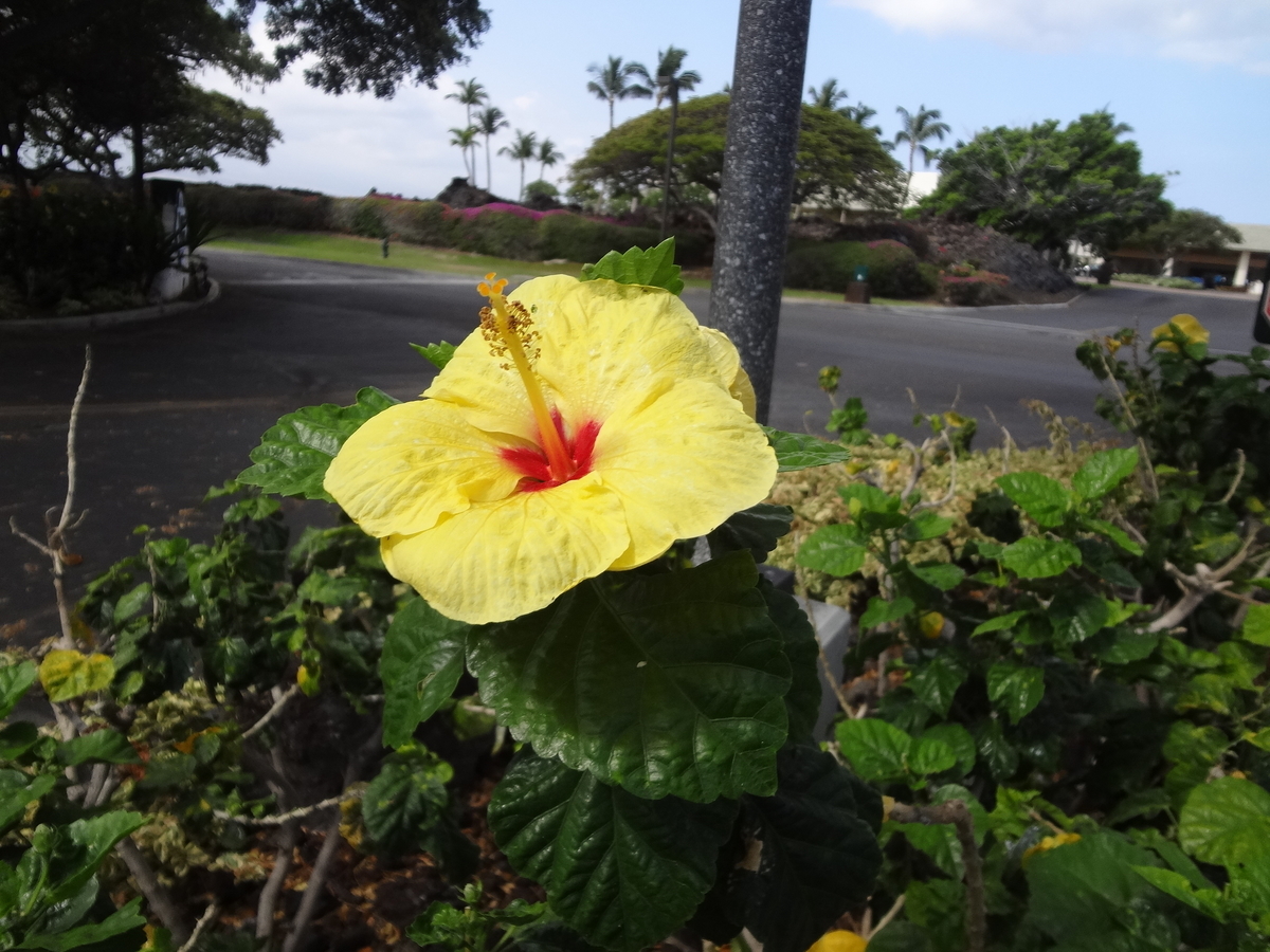 f:id:mcy22:20190522195453j:plain f:id:mcy22:20190522195453j:plain