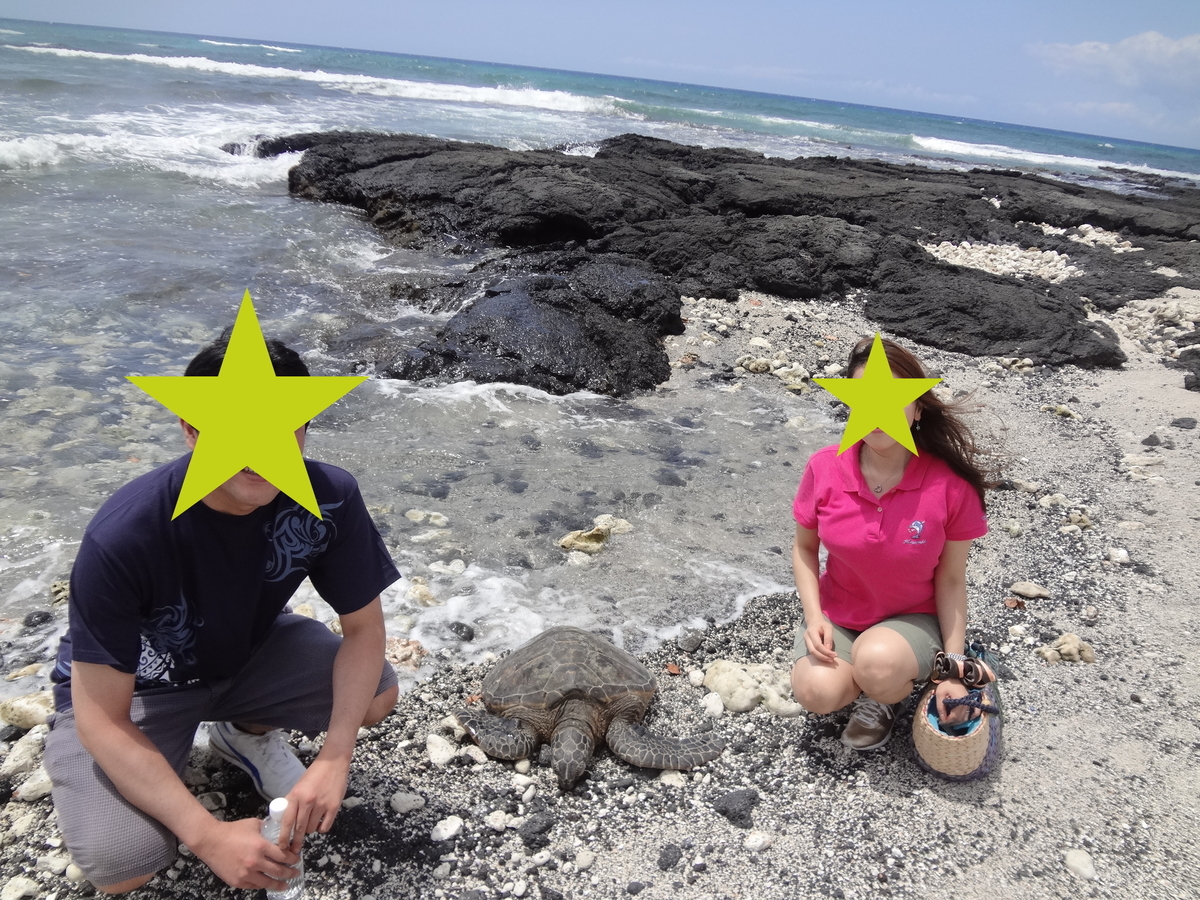 f:id:mcy22:20190523143752j:plain f:id:mcy22:20190523143752j:plain