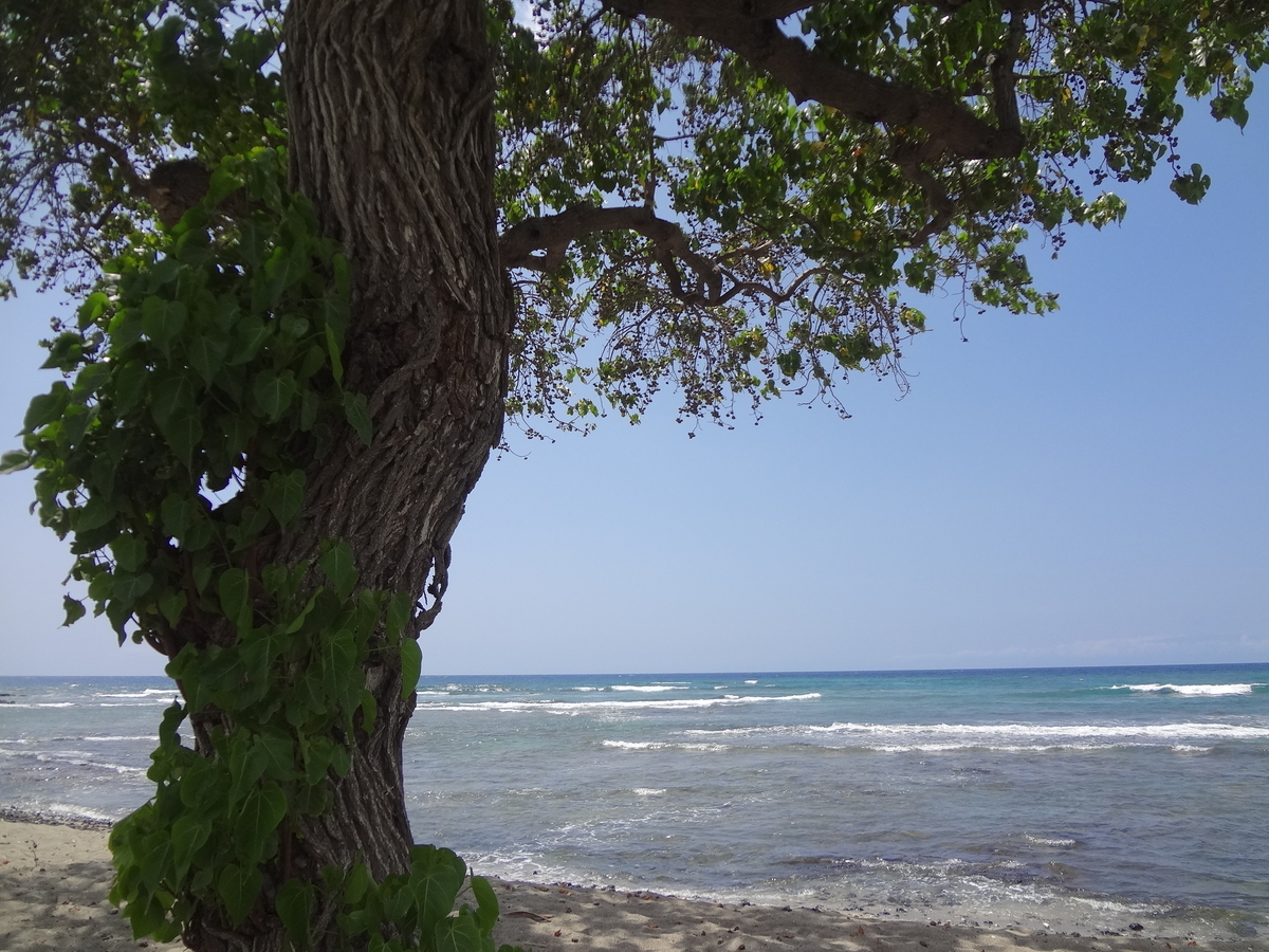 f:id:mcy22:20190523143834j:plain f:id:mcy22:20190523143834j:plain