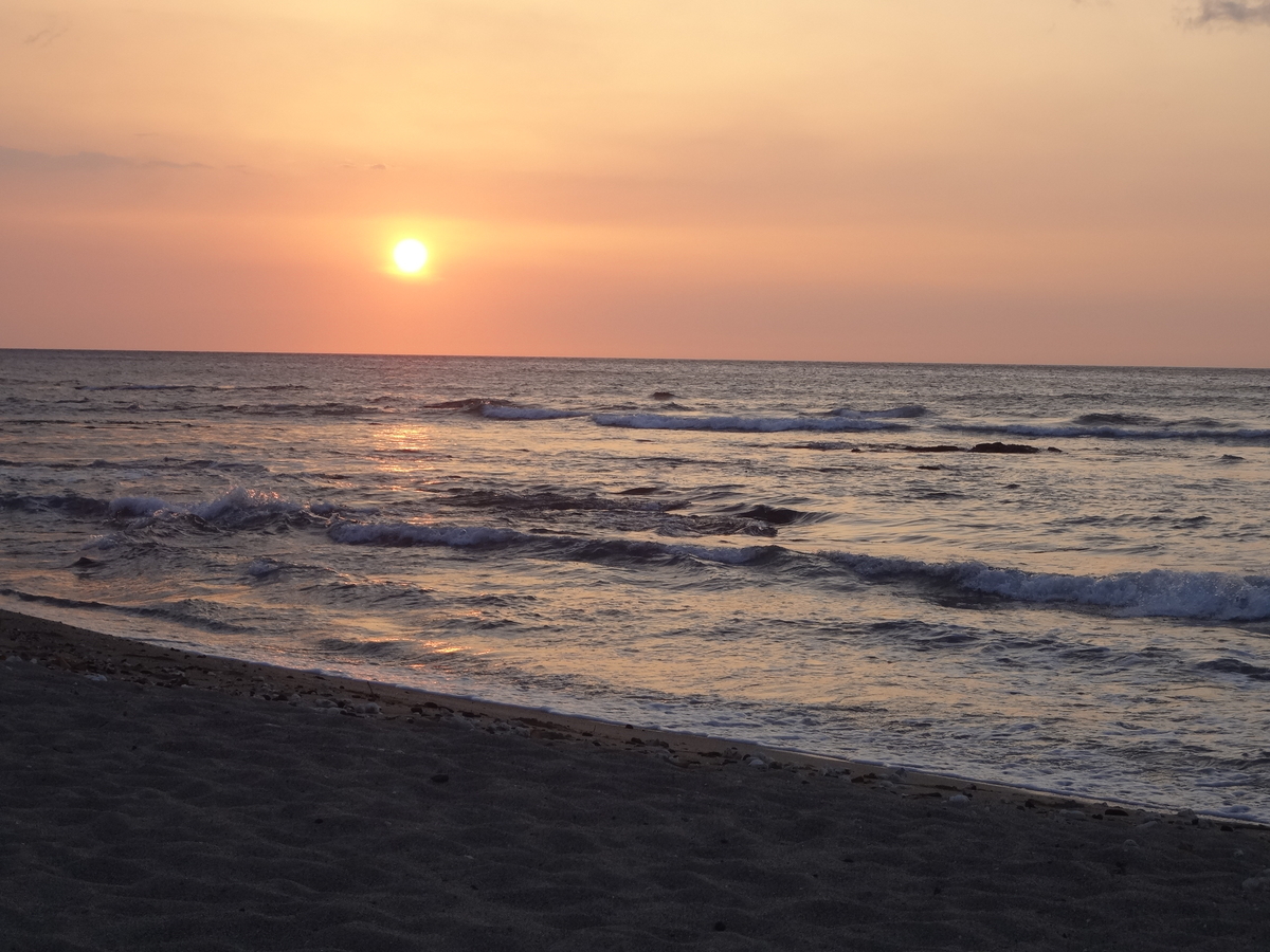f:id:mcy22:20190523144221j:plain f:id:mcy22:20190523144221j:plain