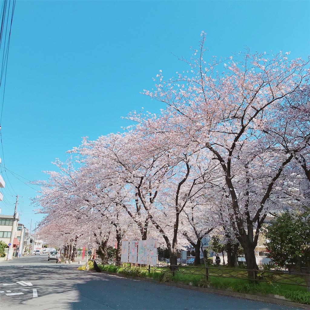 f:id:md0426:20190402090519j:image f:id:md0426:20190402090519j:image