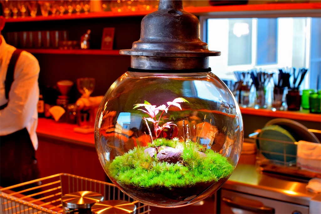 f:id:mdaikichi:20190322134428j:image