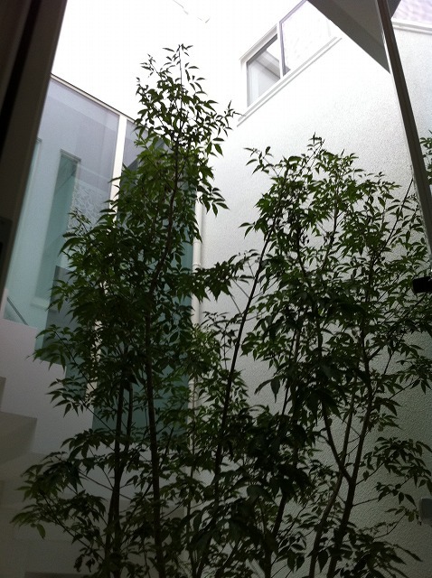 f:id:mdesign0105:20110902094220j:image:w360