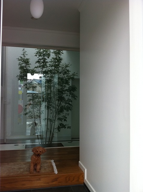 f:id:mdesign0105:20110902094222j:image:w360