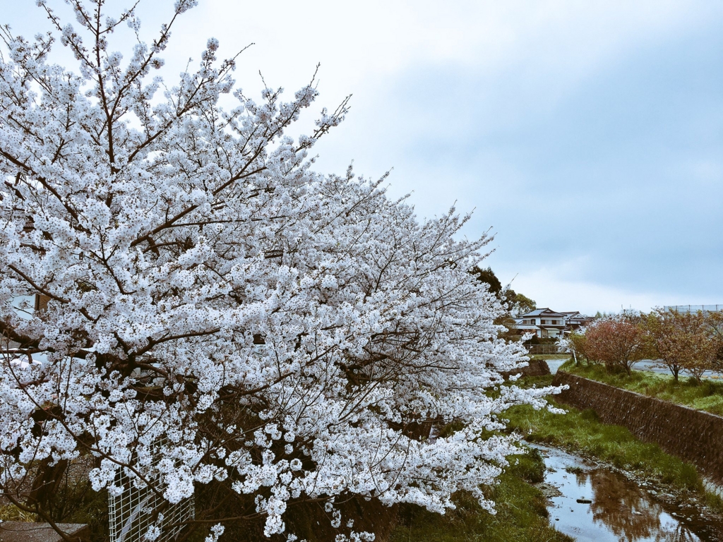 f:id:mdhugh_h:20170410212144j:plain