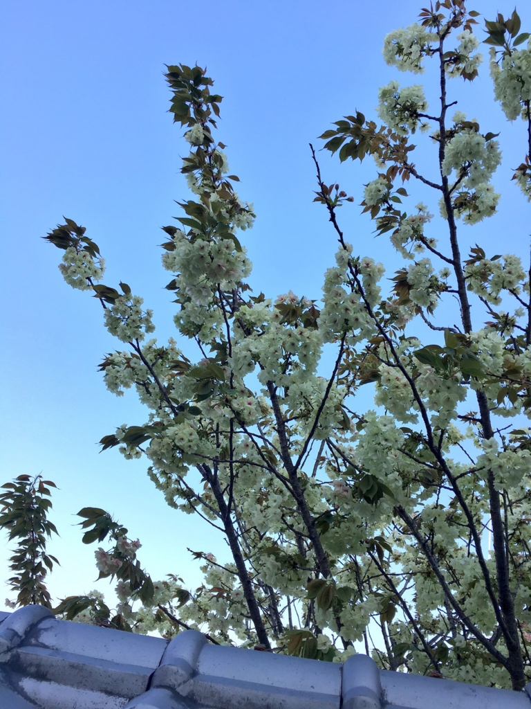 f:id:mdhugh_h:20170416234653j:plain f:id:mdhugh_h:20170416234653j:plain