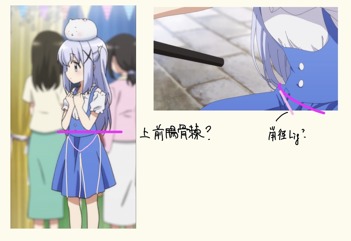 チノちゃんの子宮を、守護りたい - みどマメモ