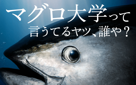 f:id:me-0shiki:20160430140219p:plain f:id:me-0shiki:20160430140219p:plain