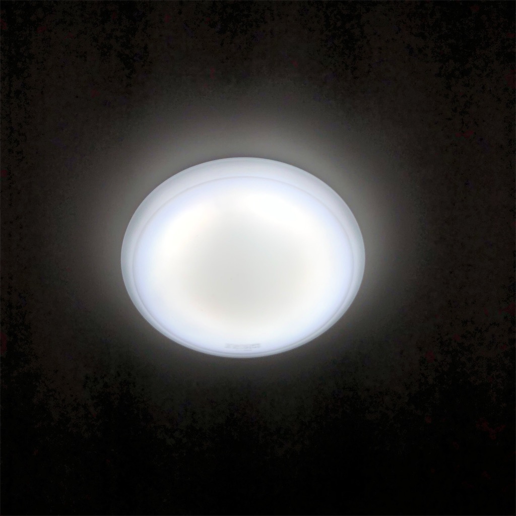 f:id:me-back:20200123090755j:image f:id:me-back:20200123090755j:image