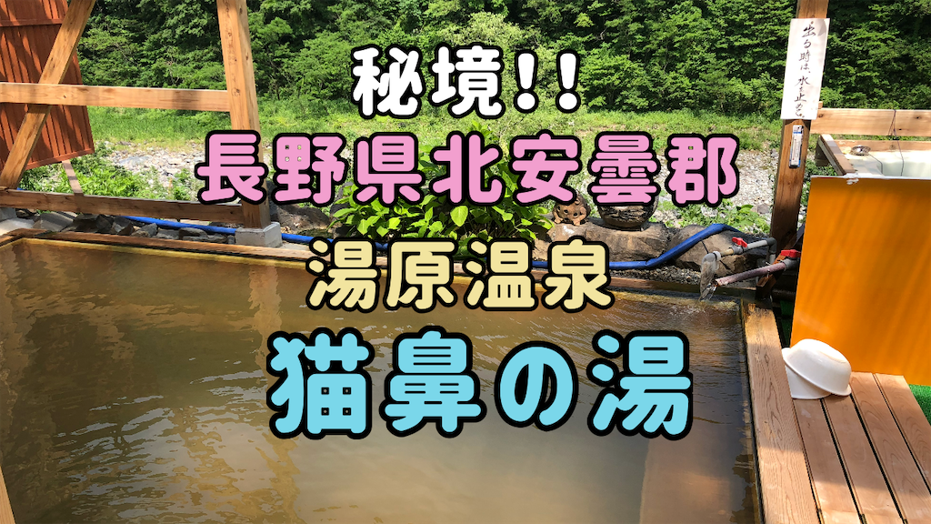 f:id:me-back:20210607230104p:image