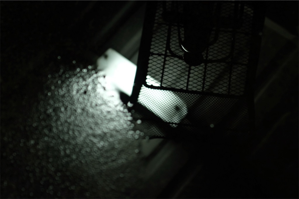 f:id:me-em:20170122191522j:image f:id:me-em:20170122191522j:image