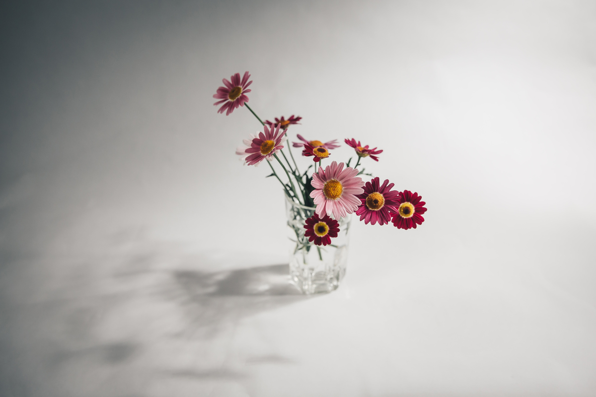 f:id:me-em:20210628124459j:plain