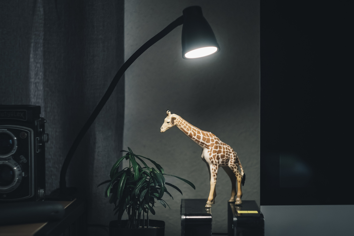 f:id:me-em:20220202133753j:plain