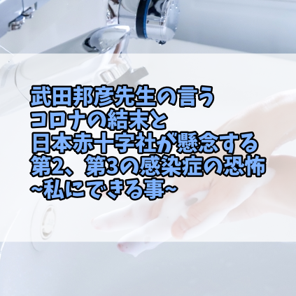 武田邦彦先生の言うコロナの結末と日本赤十字社が懸念する第2 第3の感染症の恐怖 私にできる事 Meのhigeさんのためになる話