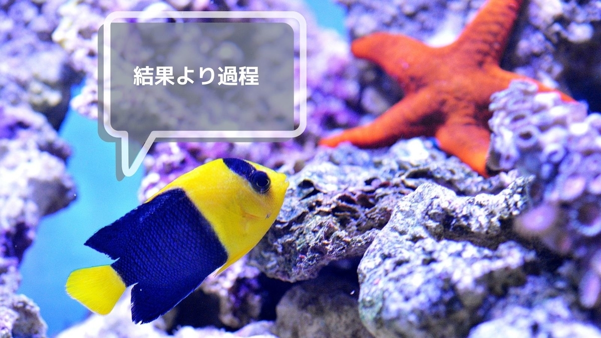f:id:me-hige:20210321141435j:plain