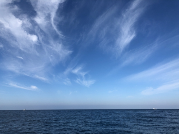 f:id:me-hige:20211102120215p:plain