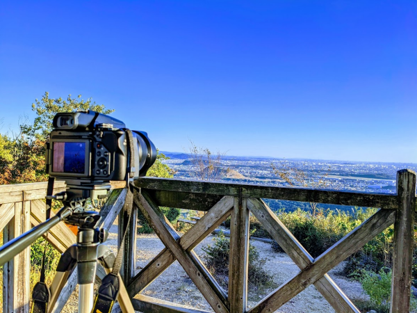 f:id:me-hige:20211102122046p:plain