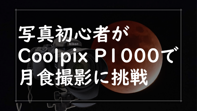 f:id:me-hige:20211120085347p:plain