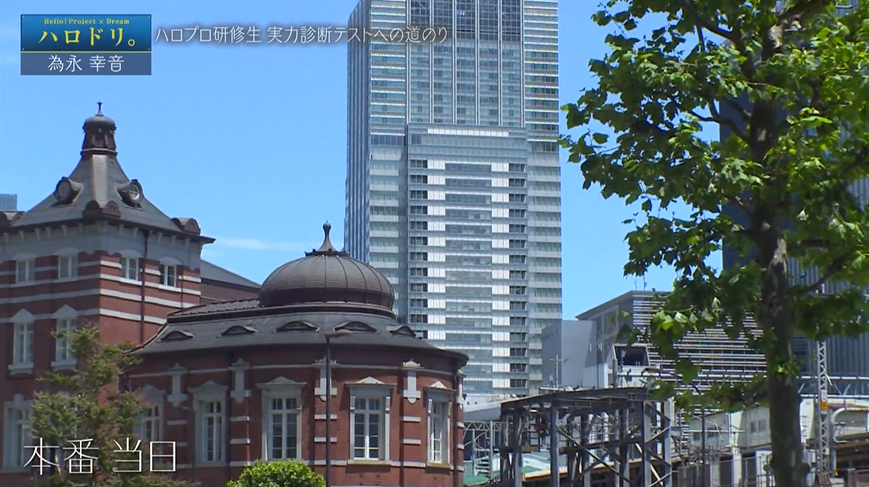 f:id:me-me-koyagi:20200911133244p:plain