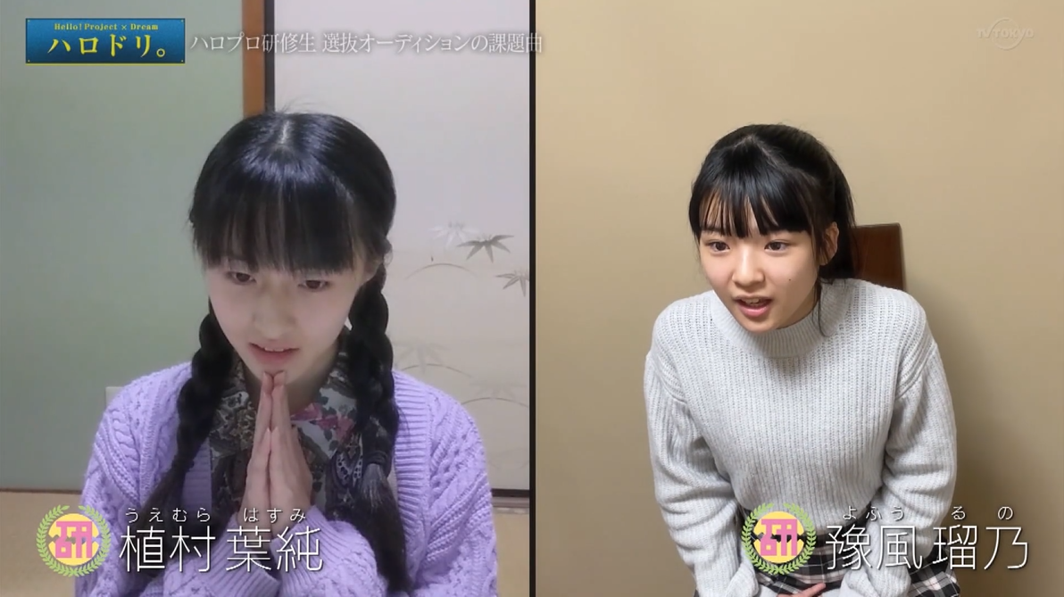 f:id:me-me-koyagi:20210202234329p:plain
