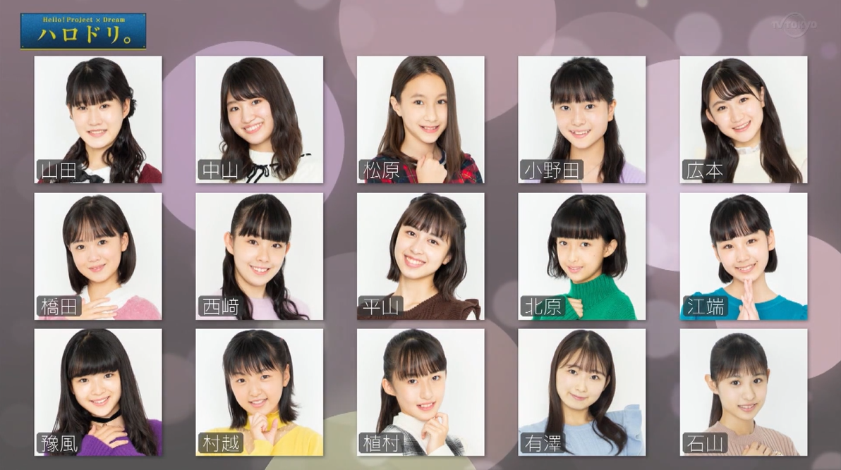 f:id:me-me-koyagi:20210203005543p:plain