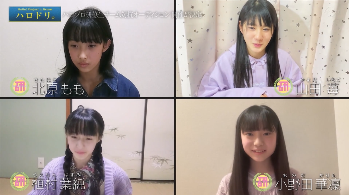 f:id:me-me-koyagi:20210203012439p:plain