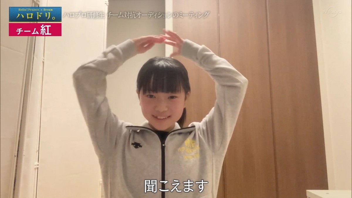 f:id:me-me-koyagi:20210210185133j:plain