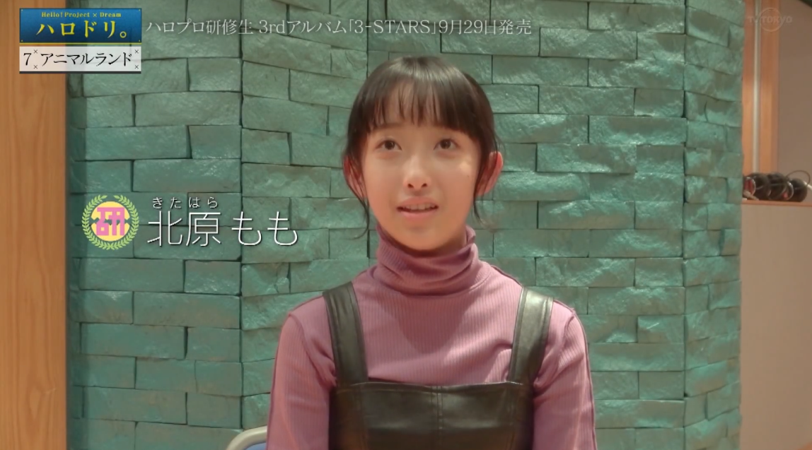 f:id:me-me-koyagi:20210818152358p:plain