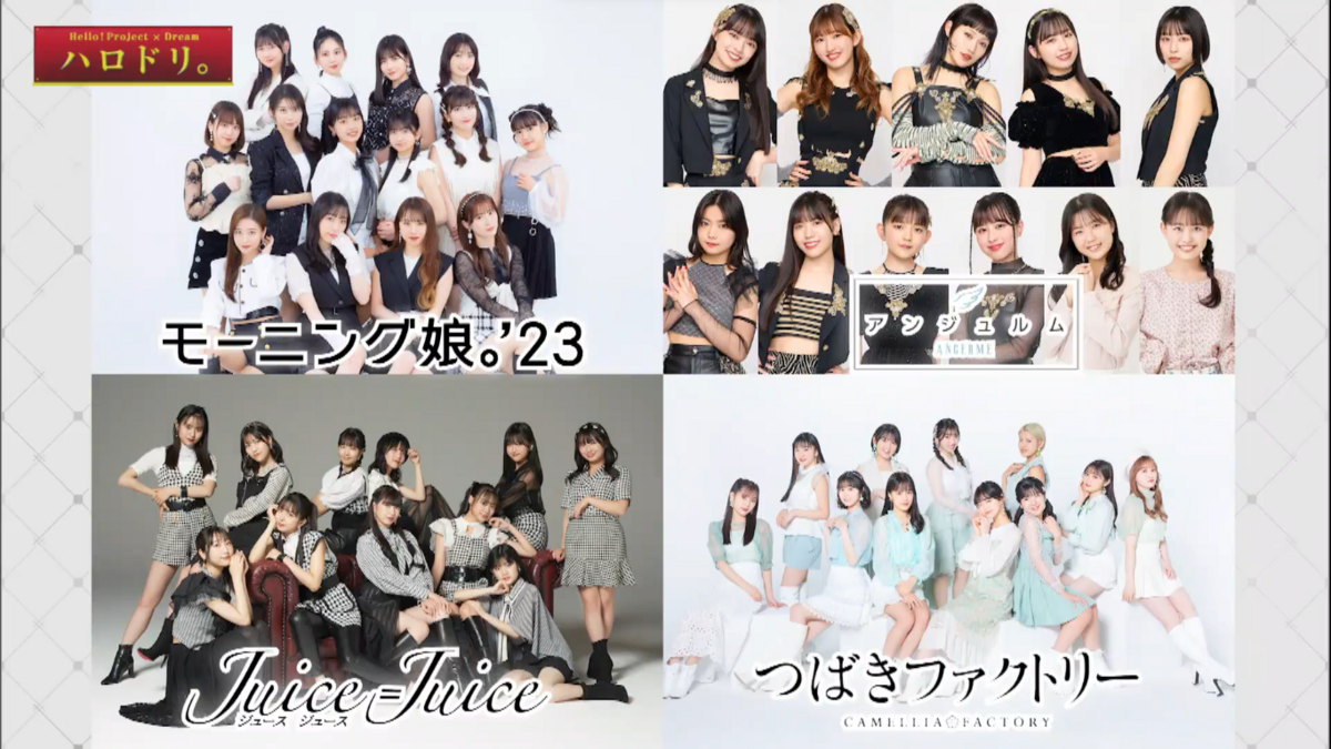 ハロープロジェクト 25周年 FC 1.2 2023DVD2枚組 写真付 ハロー！プロジェクトオフィシャルショップWebStoreのお知らせ