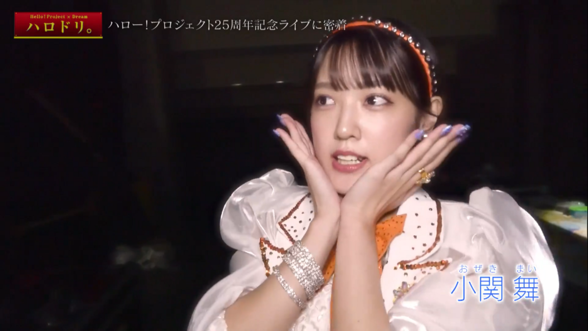 ハロープロジェクト 25周年 FC 1.2 2023DVD2枚組 写真付 Hello! Project』25周年記念グッズ - TOWER RECORDS ONLINE