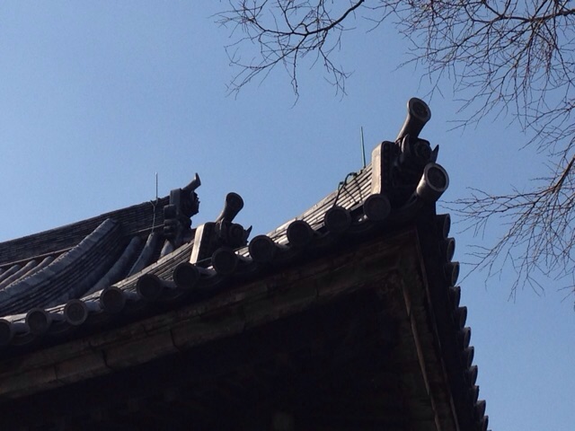 イメージ 8