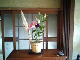 イメージ 8