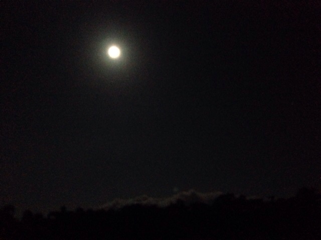 イメージ 9