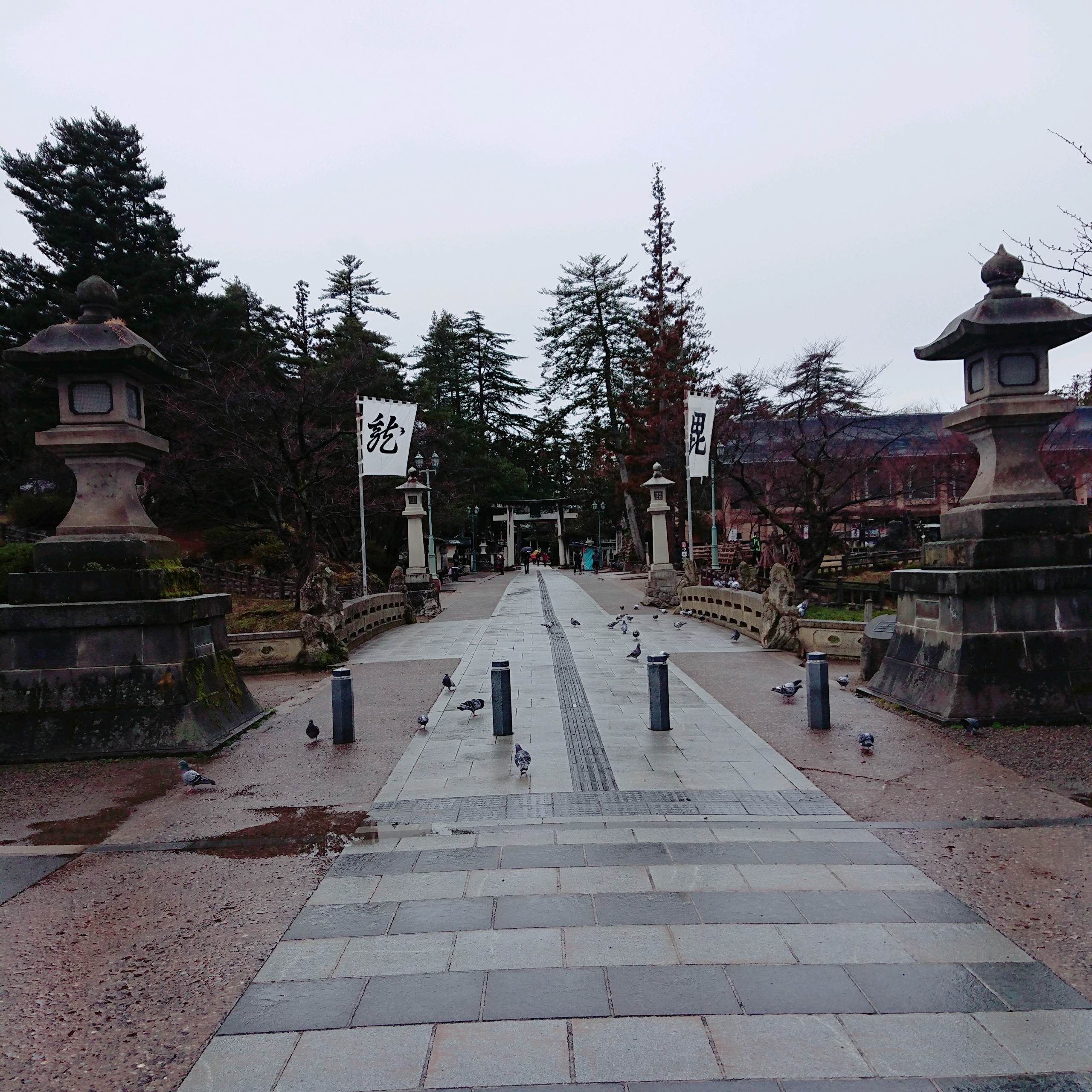f:id:me040501:20200321160819j:image f:id:me040501:20200321160819j:image
