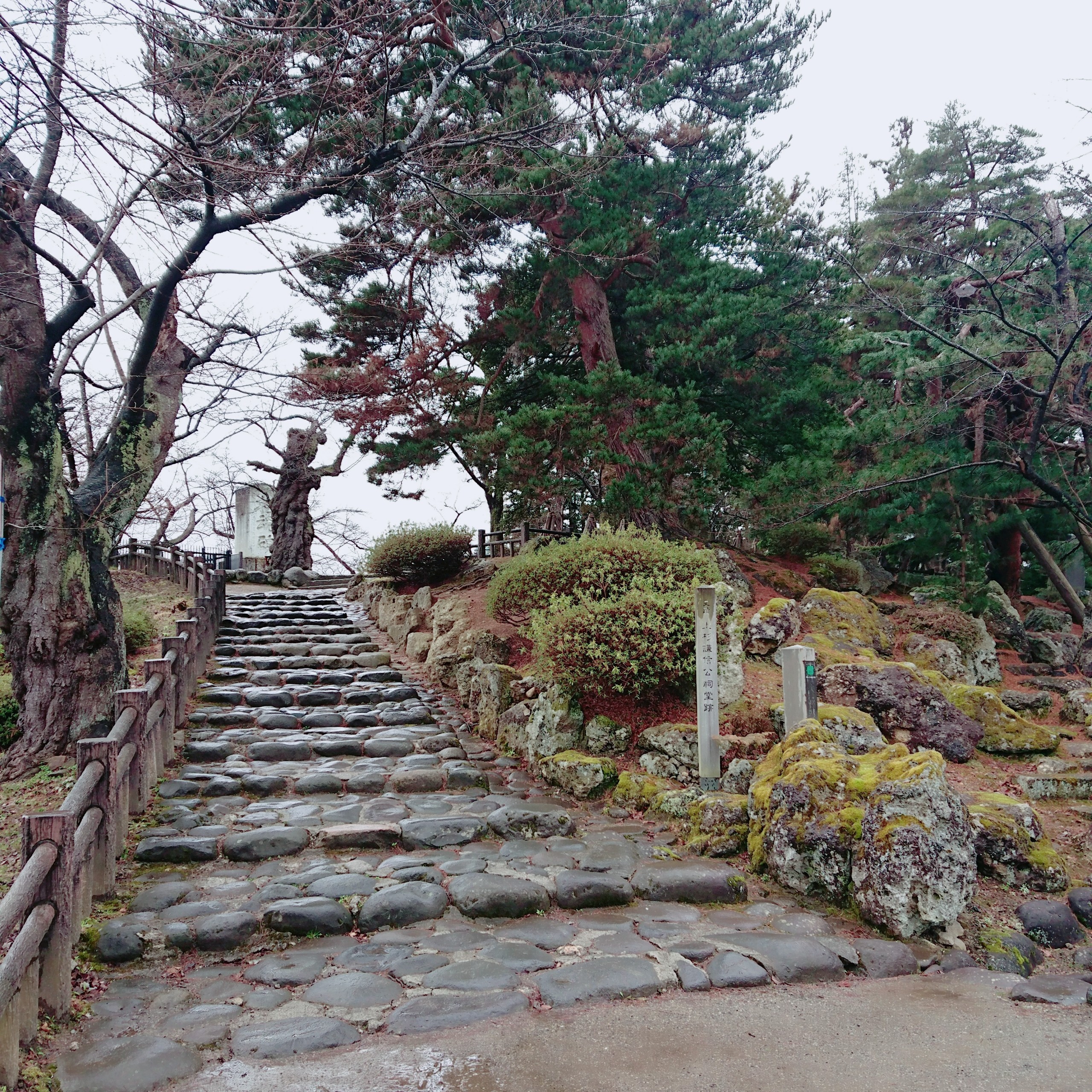 f:id:me040501:20200321160842j:image f:id:me040501:20200321160842j:image