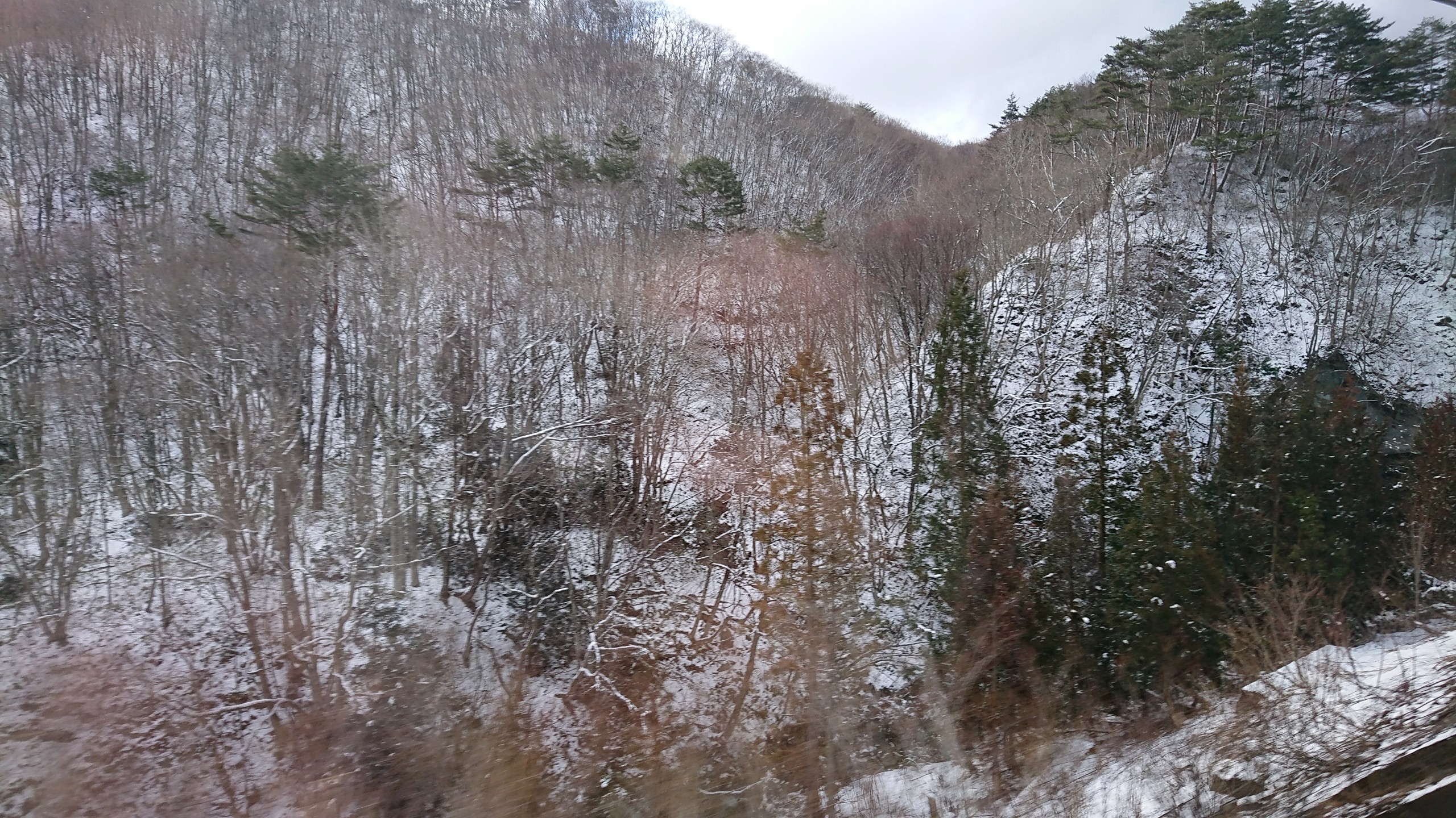 f:id:me040501:20200323085904j:image