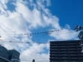 20250125135217