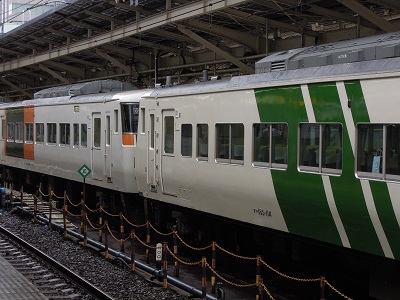185系電車(その2) ブロック塗装 - 境目と鉄道…