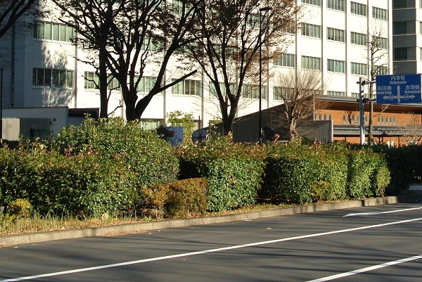 f:id:me38a:20200408185227j:plain