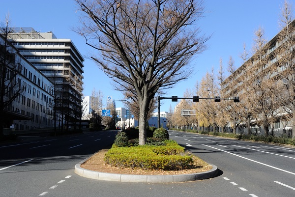 f:id:me38a:20200411132321j:plain