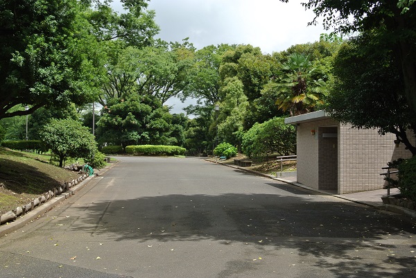 f:id:me38a:20200411132528j:plain