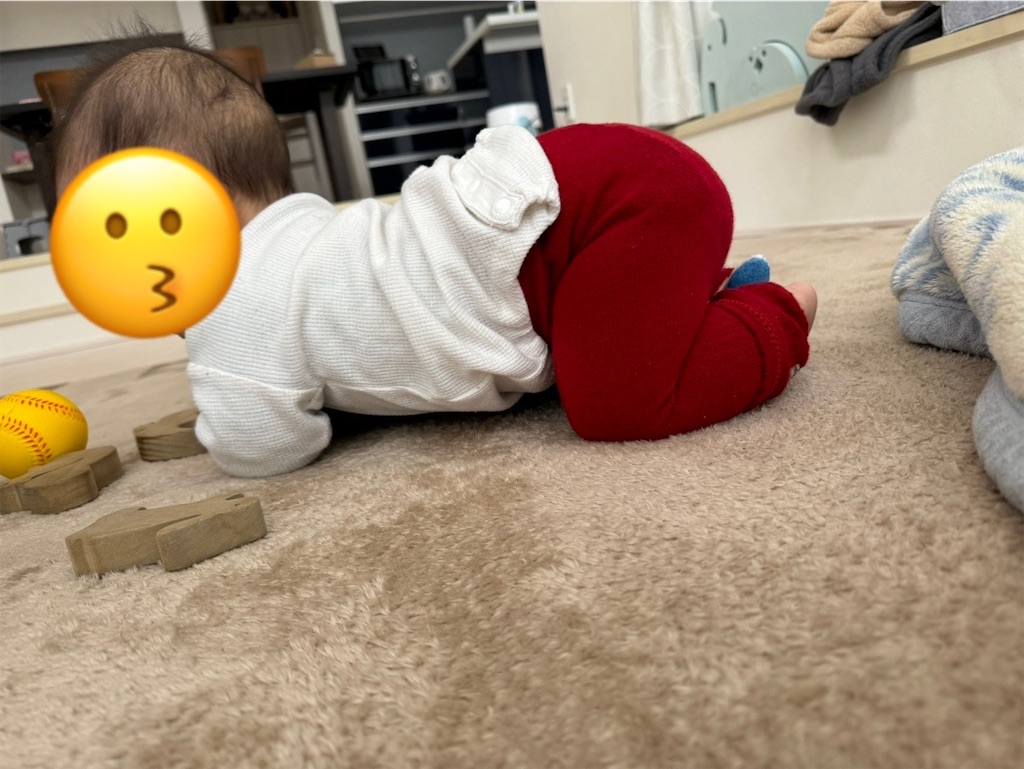 f:id:me77391j:20231205143124j:image