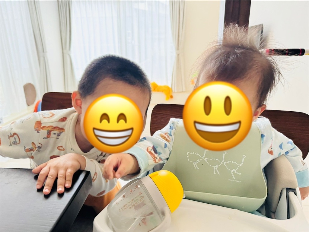f:id:me77391j:20240416214224j:image